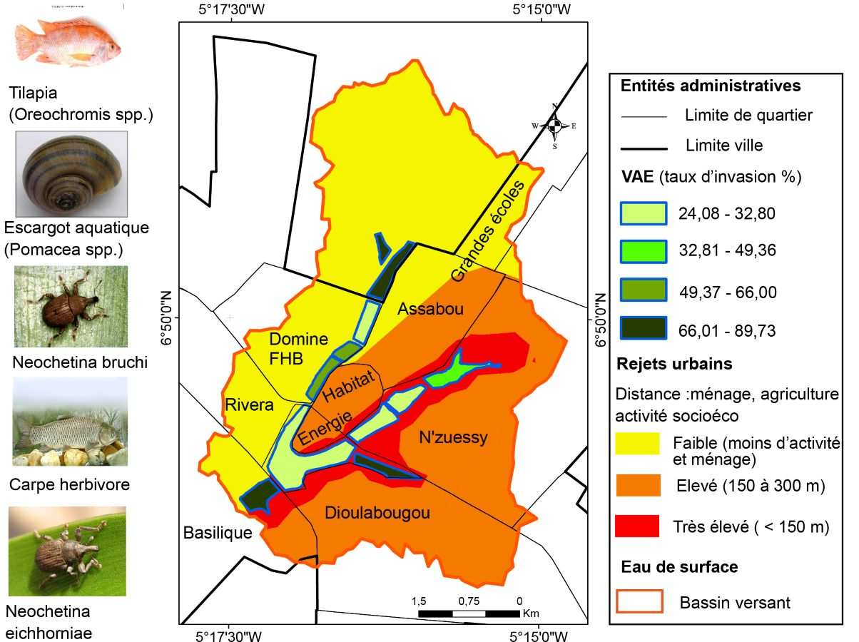 Carte de la stratégie de gestion des végétaux aquatiques envahissants (VAE) sur les lacs artificiels de Côte d'Ivoire